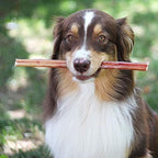100% Natural Brazilian Bully Sticks - 1 lb Bag  10.00% Off Auto renew
